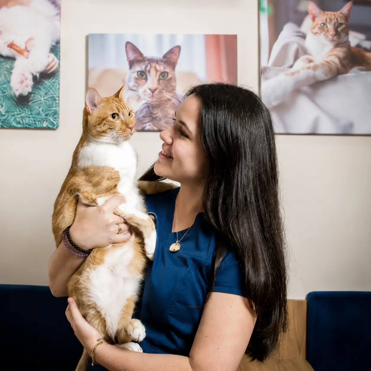 petsrfamily-imagen-feature