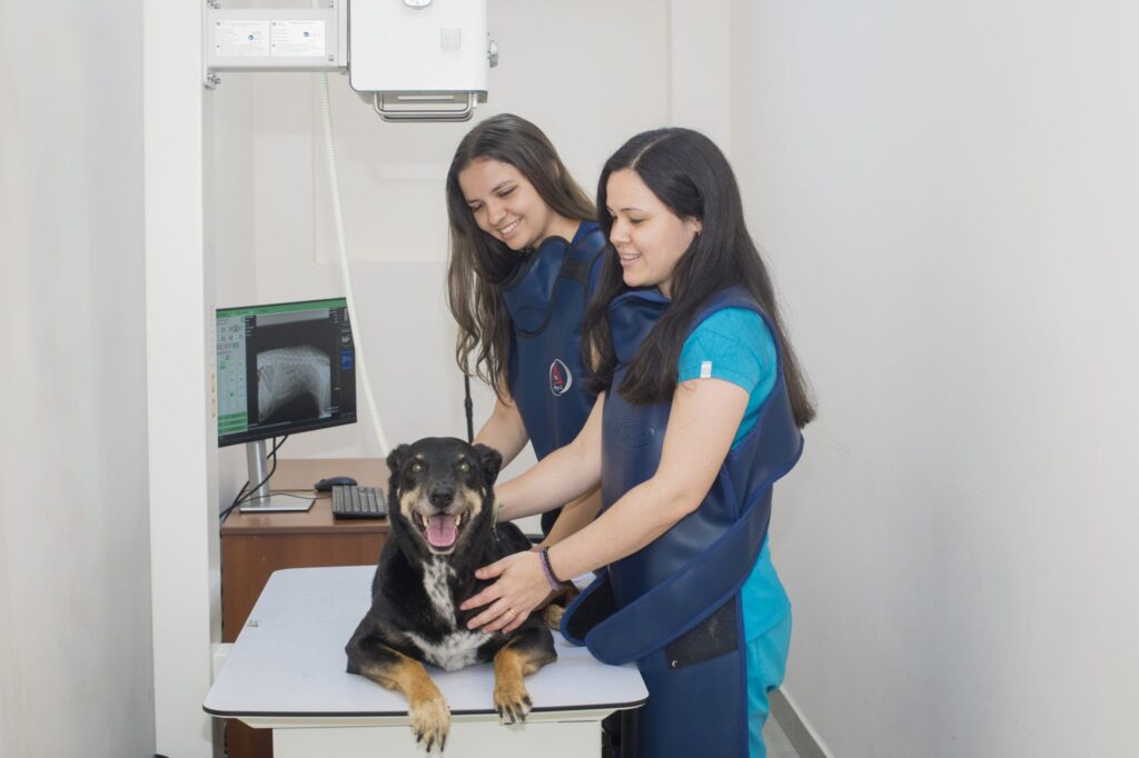 petsrfamily-quienes-somos-galeria-1