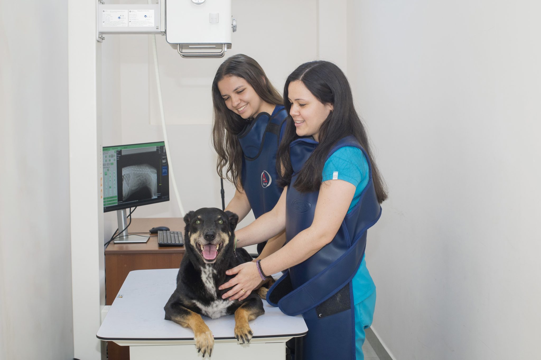 petsrfamily-quienes-somos-galeria-1