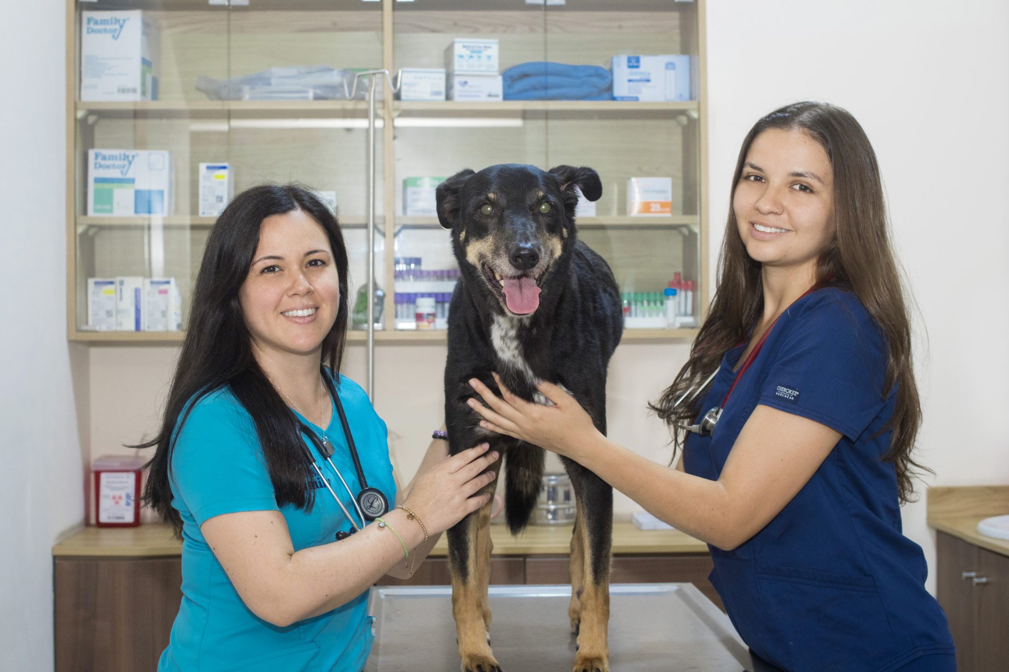 petsrfamily-quienes-somos-galeria-3